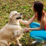 golden-training-body