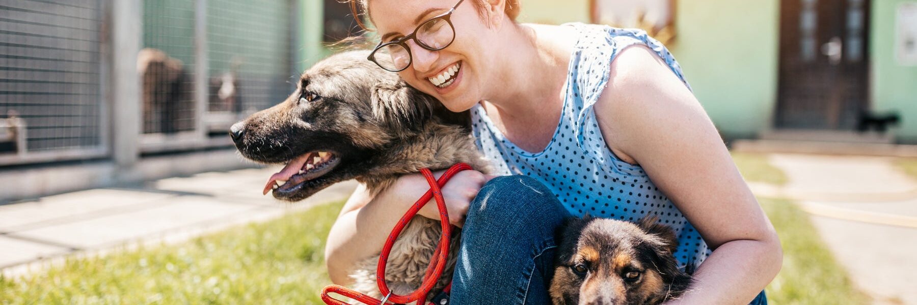 Best dog daycares in Austin 1800x