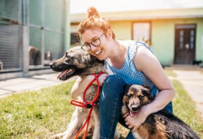 Best dog daycares in Austin 1800x