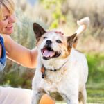 choosing-the-right-pet-for-you_1