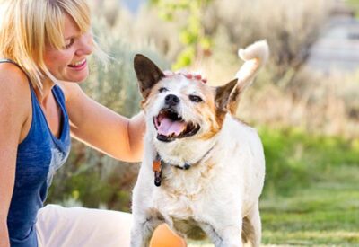 choosing the right pet for you 1