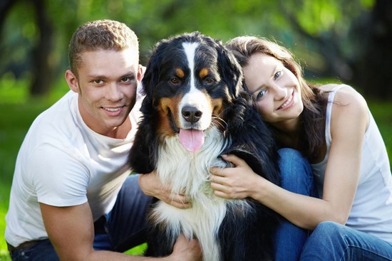 Dog Training in Castle Hills Forest: A Path to a Happier, Well-Behaved Pet 1 couple with a healthy dog