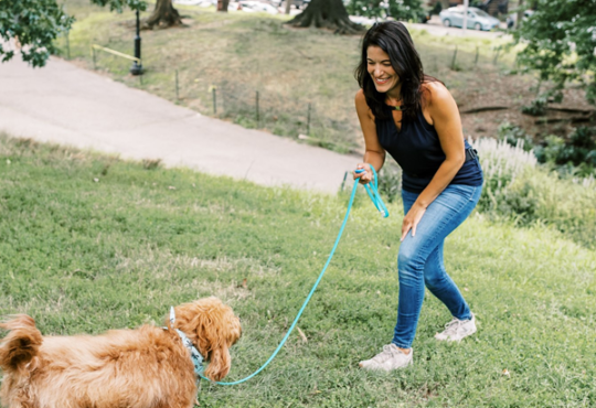 Dog Boarding: Comfortable Care When You Are Away 2 traineringrass